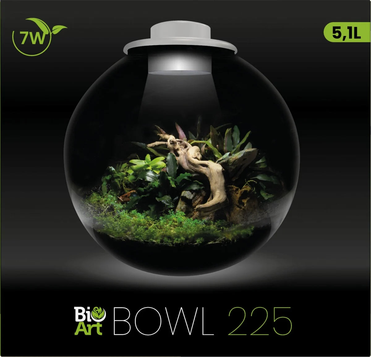 SF BIO ART BOWL 225 BLANC