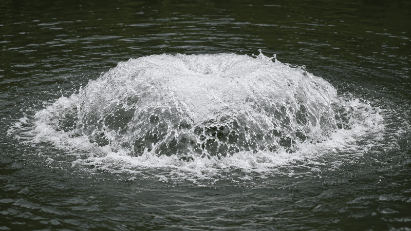 Aérateur de surface haute performance pour étang naturel - Oxygénateur de Surface Aquitechnics