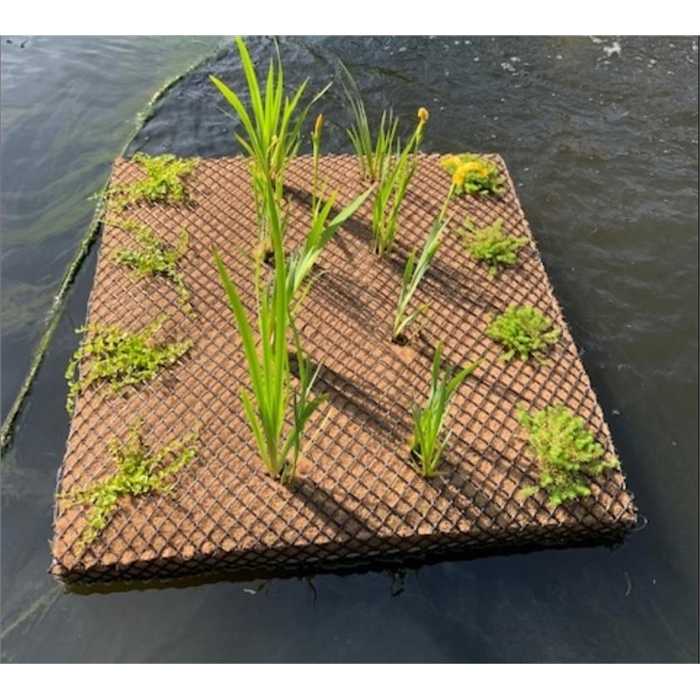 Schwimmende Matte - Schwimmende Insel für Wasserpflanzen - 1M X 1M - 25 Töpfe à 9CM vorzusehen