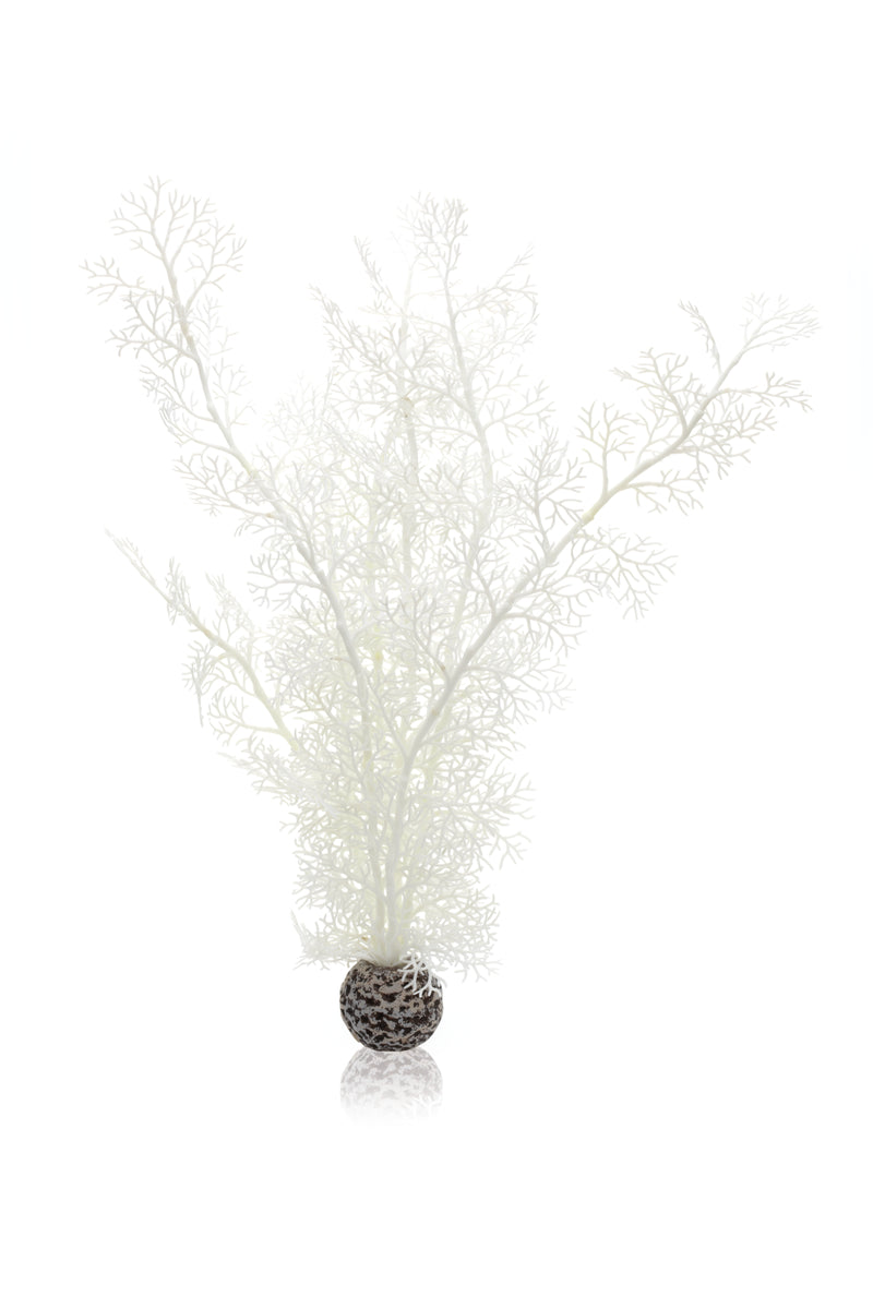 Corail décoratif biOrb L blanc — biOrb hoornkoraal L wit