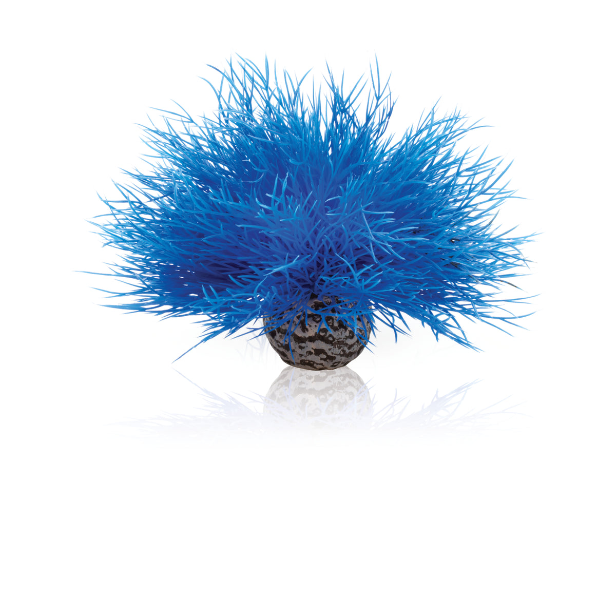 Lys de mer décoratif biOrb bleu — biOrb Aquarium zeelelie blauw