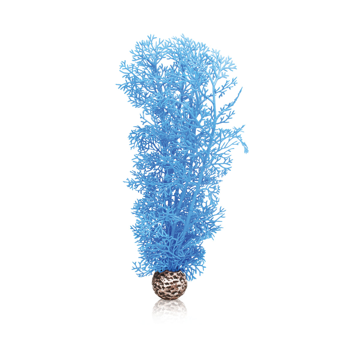 Corail décoratif biOrb M bleu — biOrb hoornkoraal M blauw
