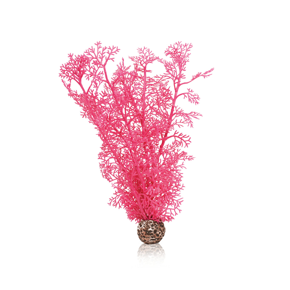 Corail décoratif biOrb M rose — biOrb hoornkoraal M roze