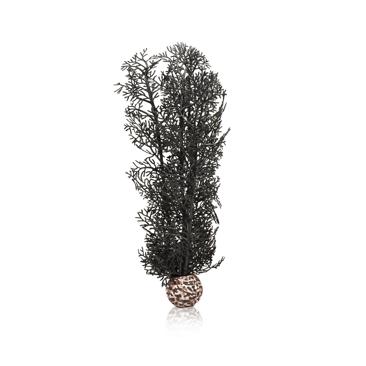 Corail décoratif biOrb M noir — biOrb hoornkoraal M zwart