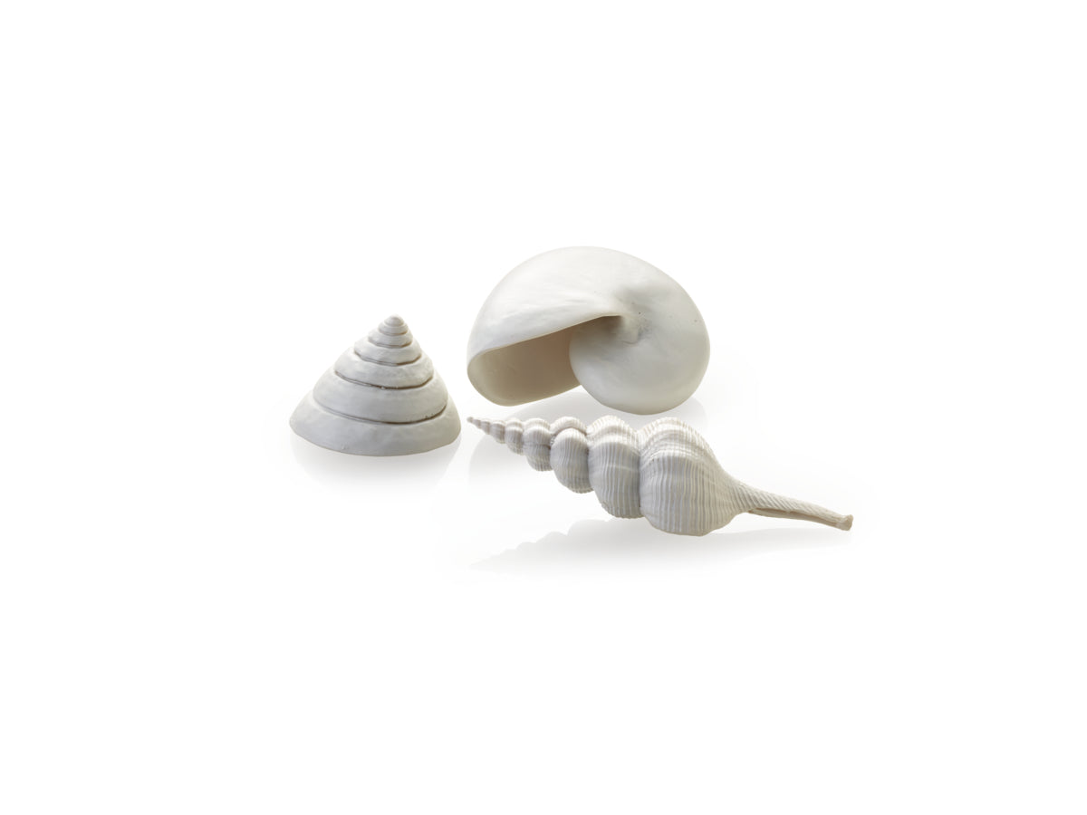Lot de 3 coquillages biOrb blancs — biOrb schelp set 3 wit
