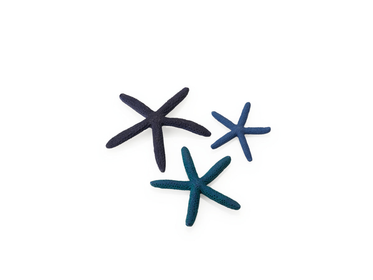 Lot de 3 étoiles de mer biOrb bleues — biOrb zeester set 3 blauw