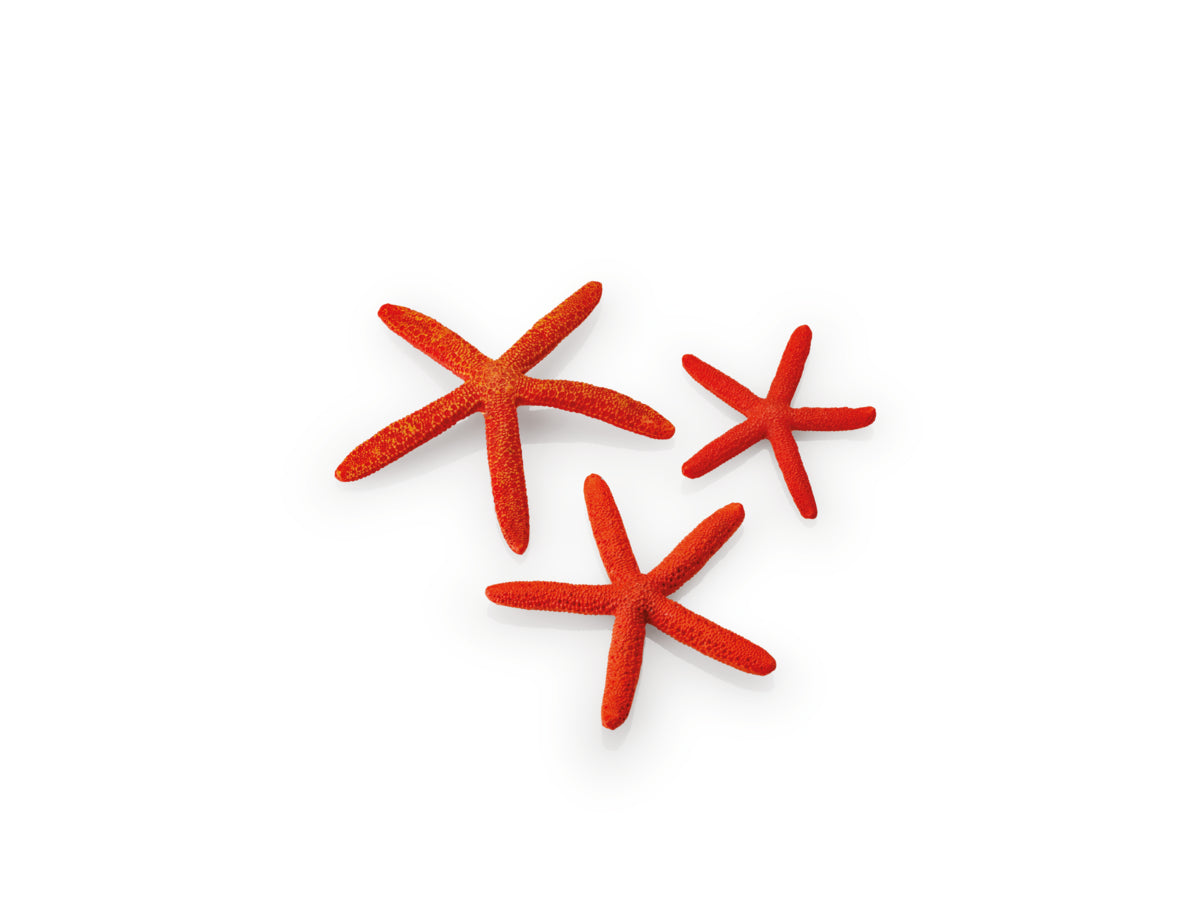 Lot d’étoiles de mer biOrb rouges — biOrb set zeesterren rood