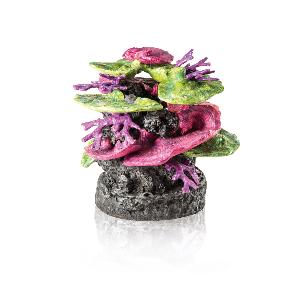 Ornement roche corallienne biOrb vert et violet — biOrb koraalrots ornament groen-paars