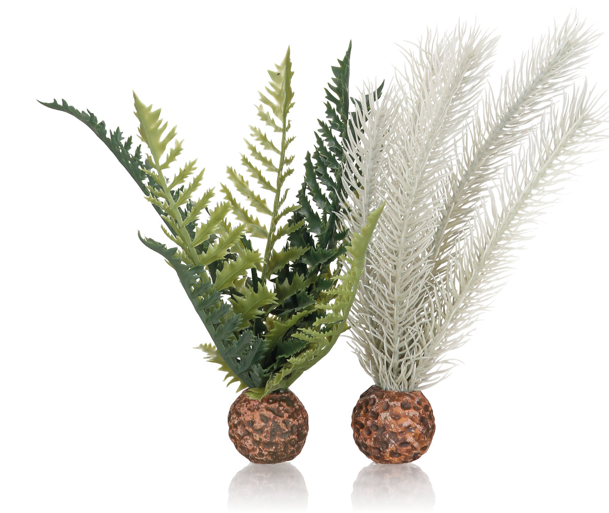 Fougère décorative biOrb gris-vert S — biOrb distelvaren grijs/groen S