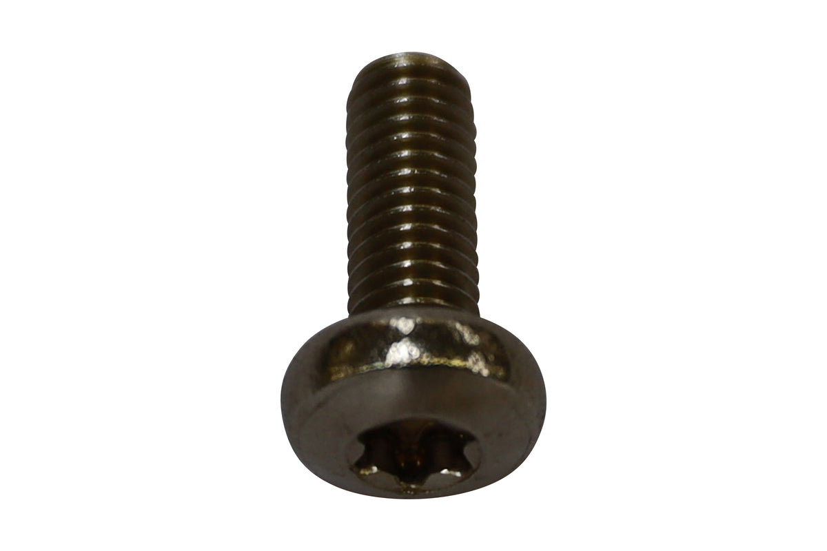 Vis à tête bombée Torx V2A ISO 14583 M6 × 16 — Lenskopschroef torx V2A ISO14583 M6 x 16
