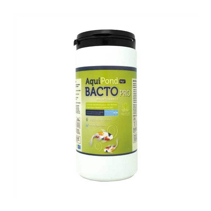 Aquipond Bacto Maintenance Pro 1KG - Bactéries de maintenance pour étang - Traite 100M³