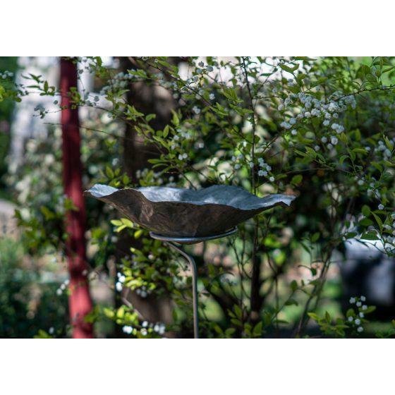 Arrosoir & Persil Bain lotus avec pied - Accessoire décoratif pour oiseaux 20001