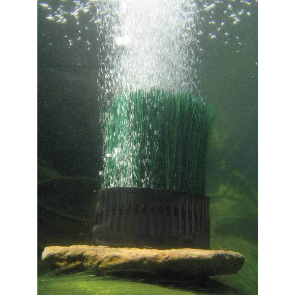 Oase Living Water Aérateurs de bassin OxyTex Set 1000 - Kit complet avec support bactérien - Oase 4010052502496 50249