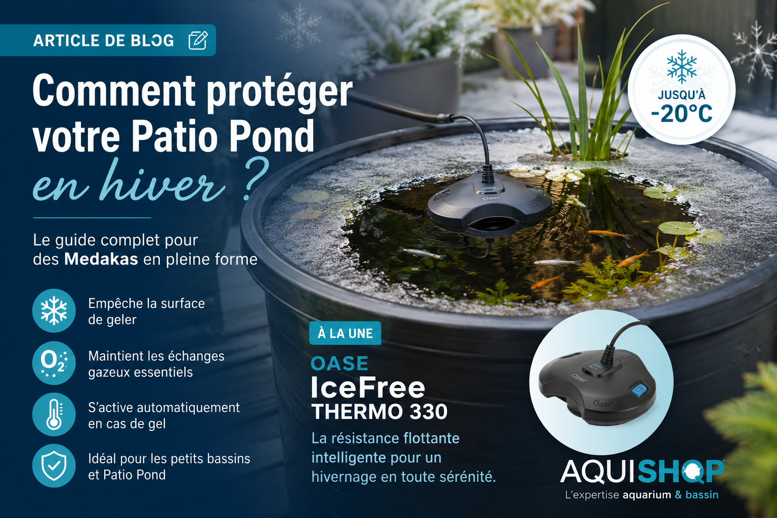 Comment protéger un Patio Pond en hiver ? Le guide complet pour des Medakas en pleine forme ❄️🐟