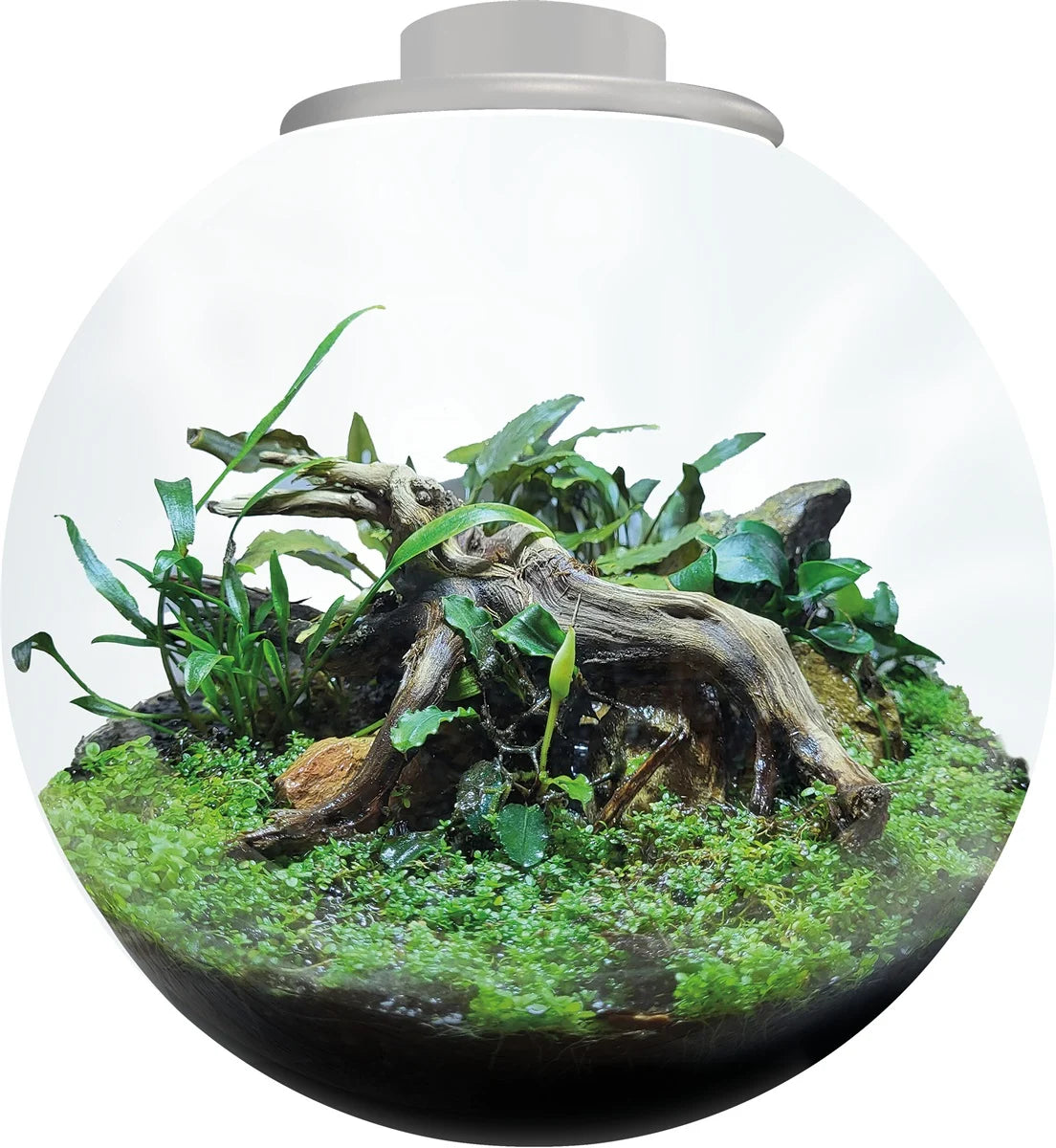 SF BIO ART KOM 225 WIT