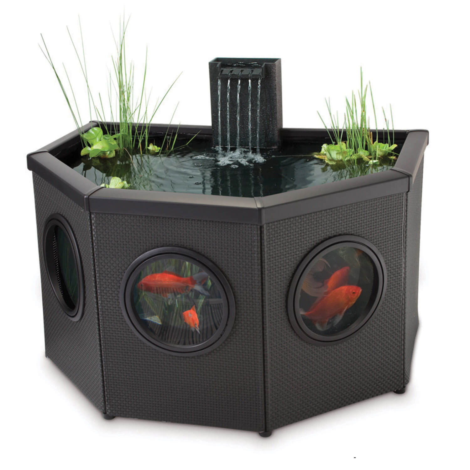 Raised Window Pond Halfmoon Mocha – Bassin surélevé avec fenêtres panoramiques pour terrasse et patio