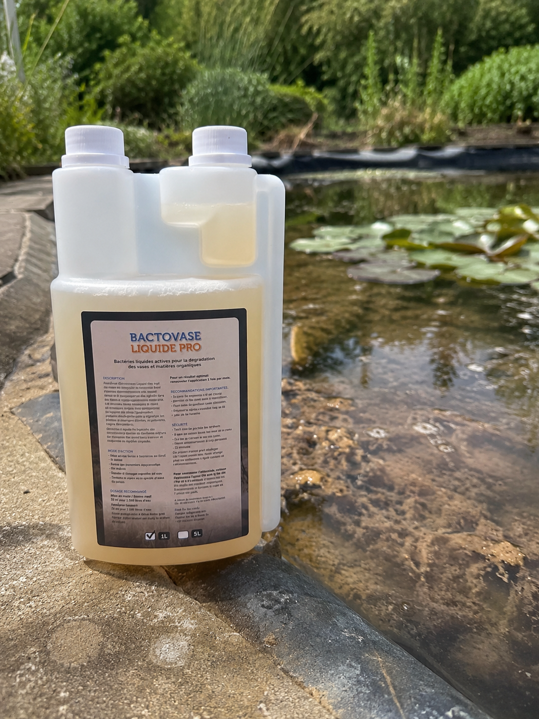 Aquipond Bactovase Liquide - 1L - Agit sur les algues et la vase