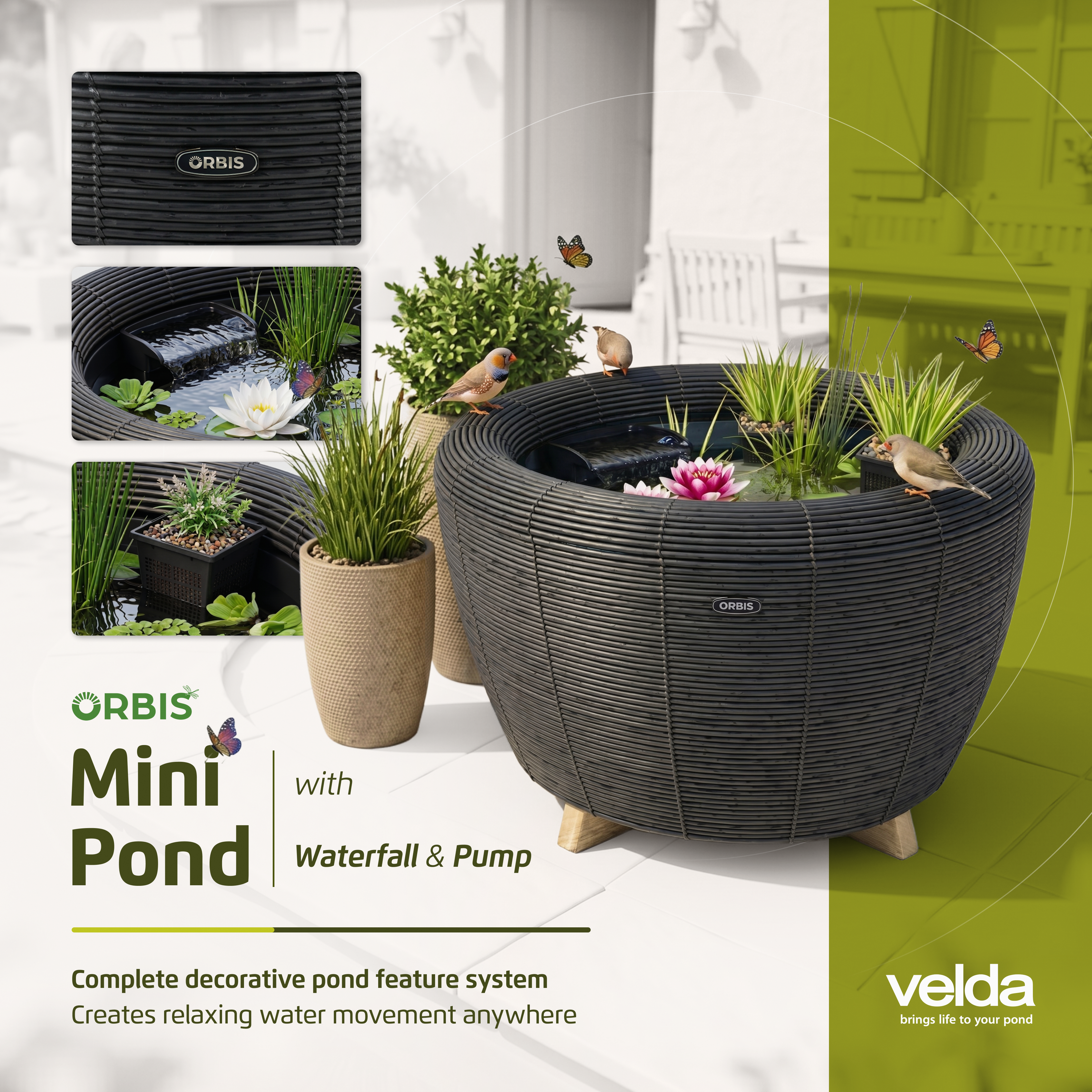 Orbis Mini Pond - Patio Bassin - Black Anthracite - Mini bassin de Terrasse