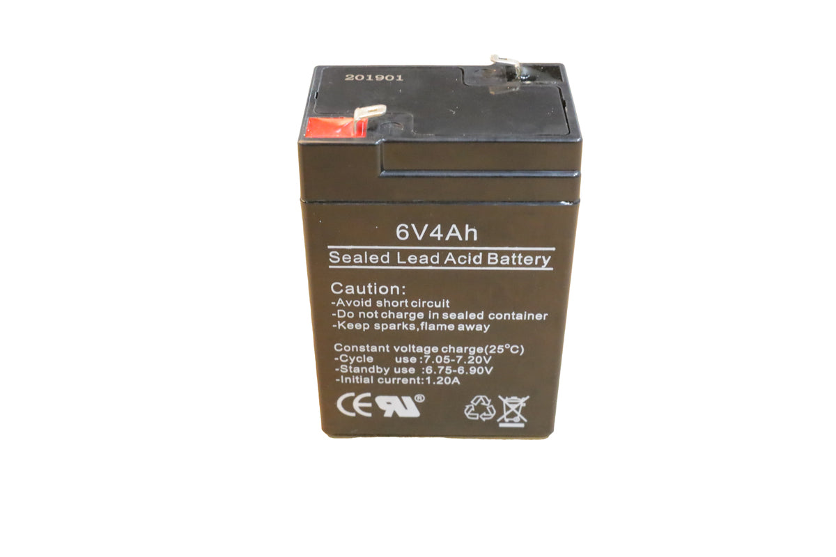 Batterie de remplacement Solar 250 — Vervang batterij Solar 250