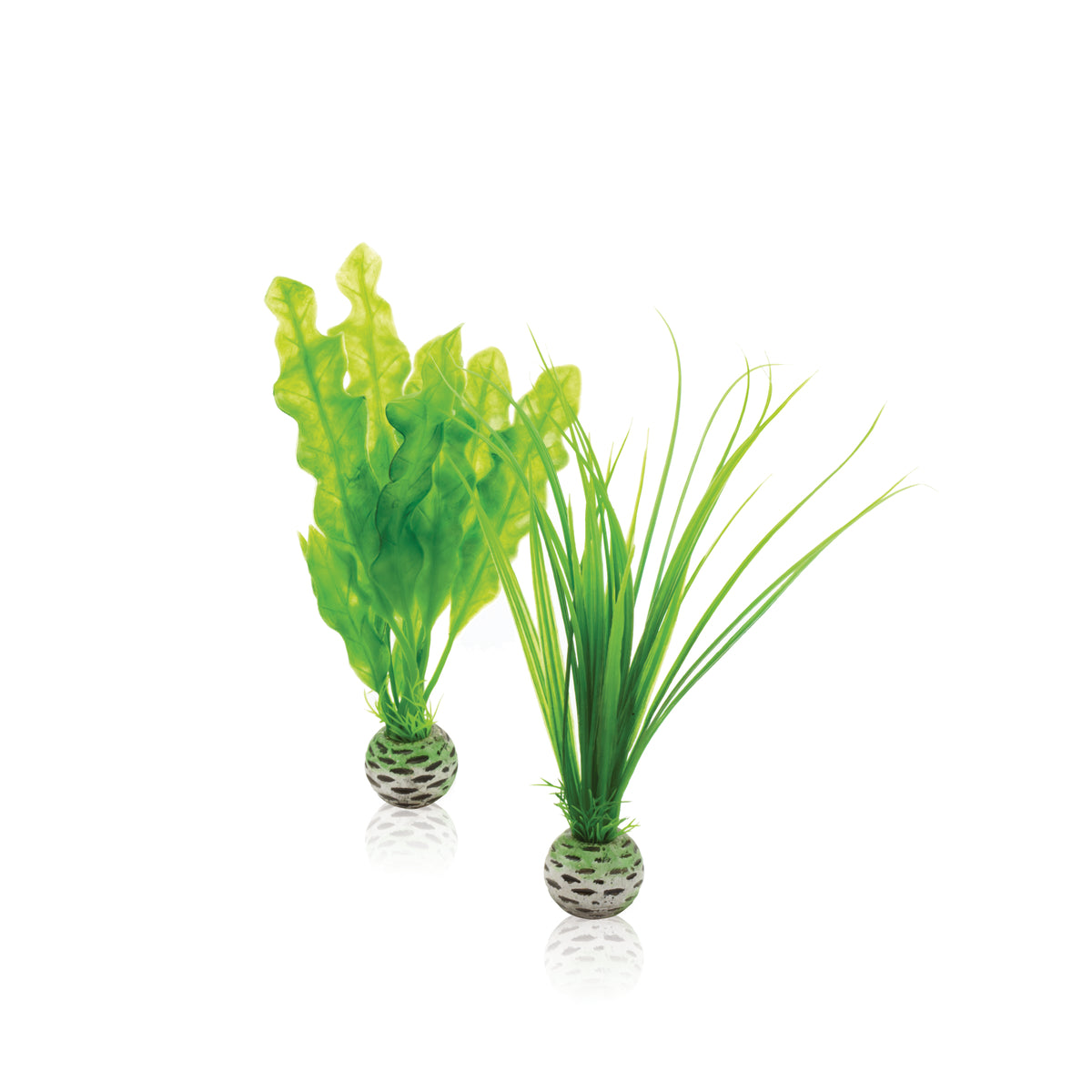 Lot de plantes biOrb S vertes — biOrb plantenset S groen