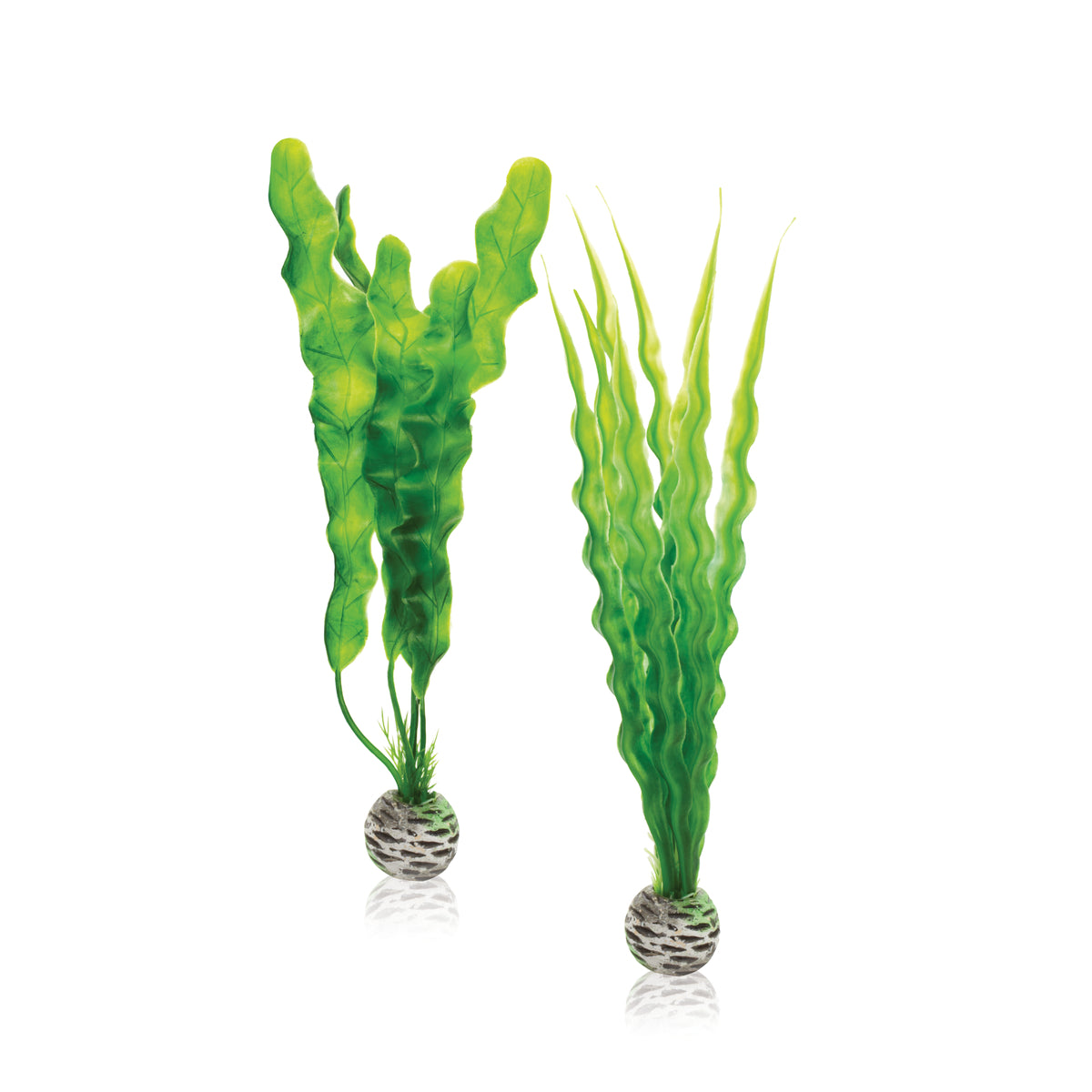Lot de plantes biOrb M vertes — biOrb plantenset M groen