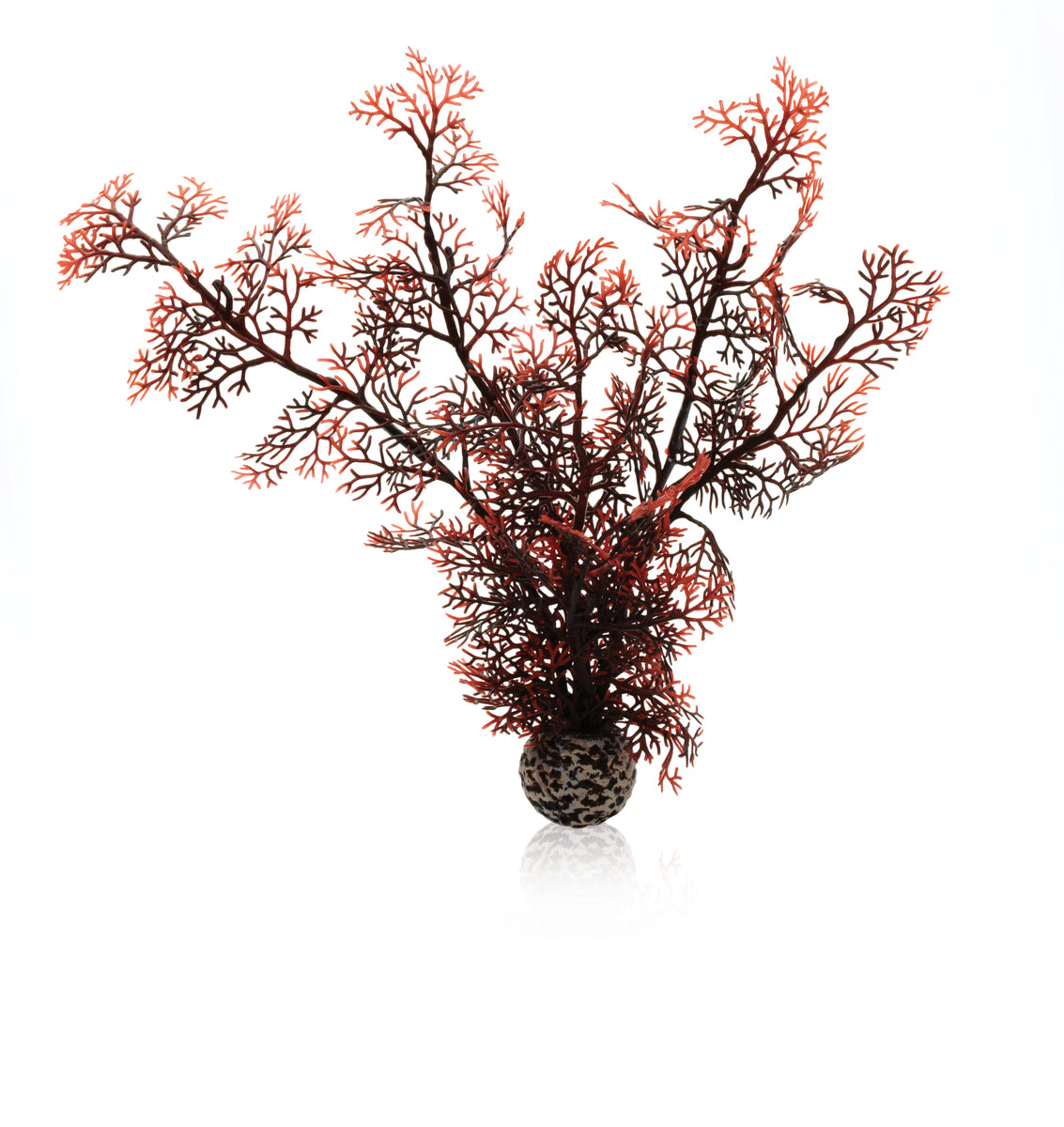Corail décoratif biOrb M rouge foncé — biOrb hoornkoraal M donkerrood