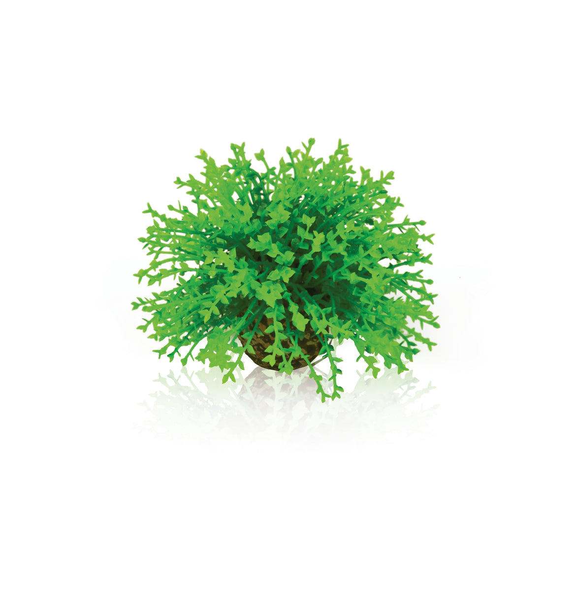 Boule fleurie biOrb verte — biOrb bloemenbal groen