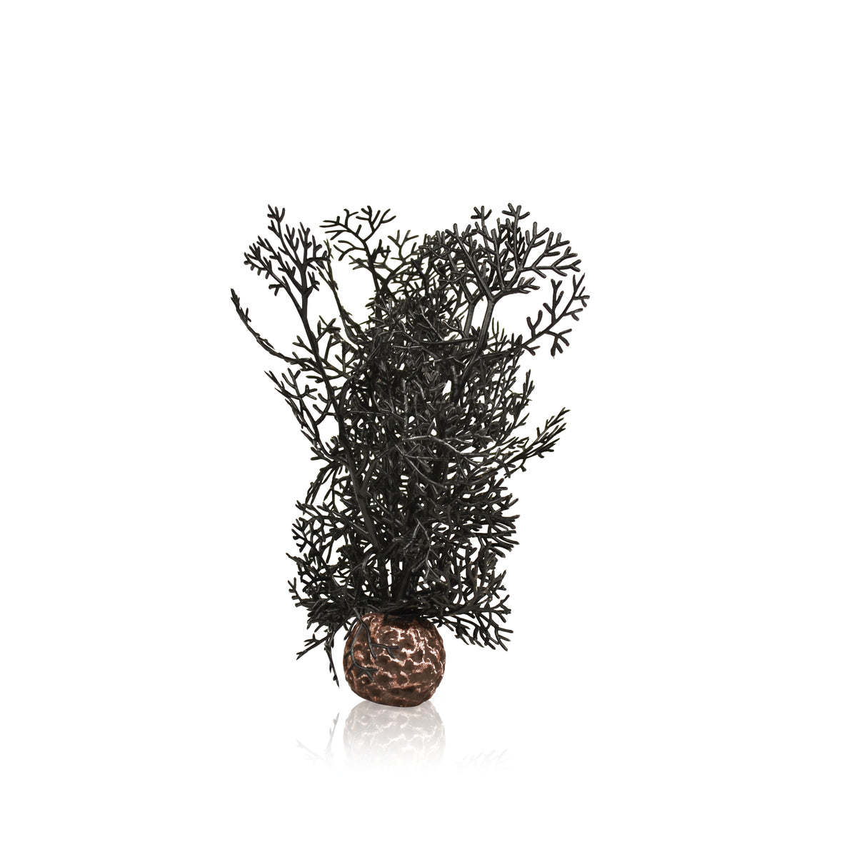 Corail décoratif biOrb S noir — biOrb hoornkoraal S zwart