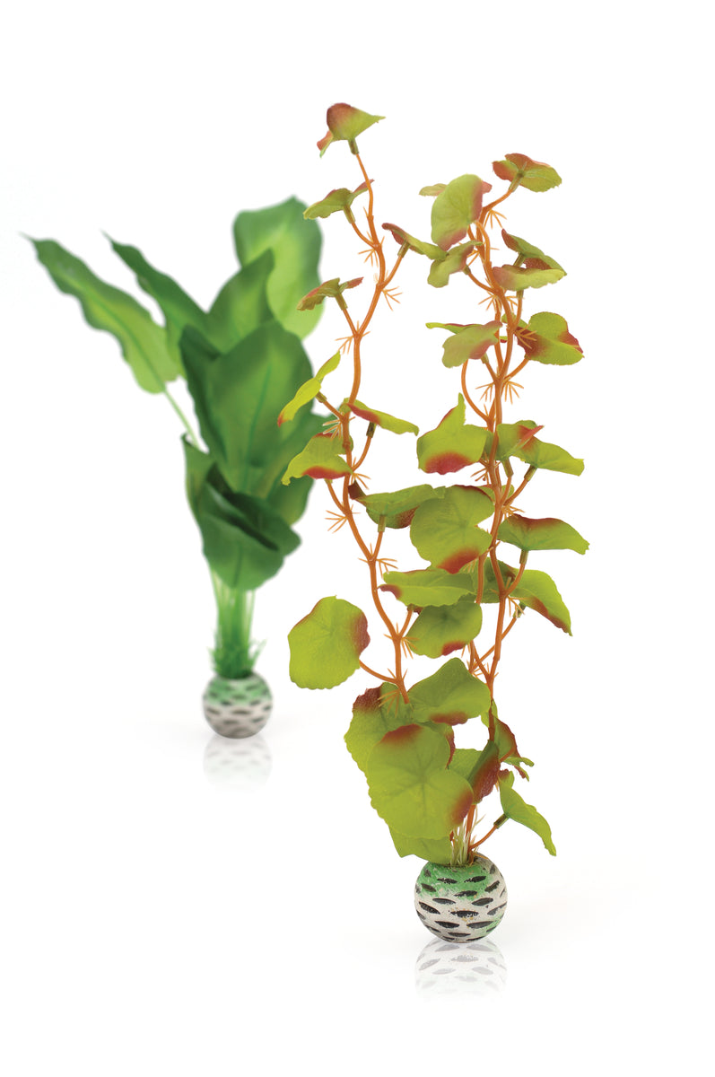 Lot de plantes en soie biOrb M vertes — biOrb zijden plantenset M groen