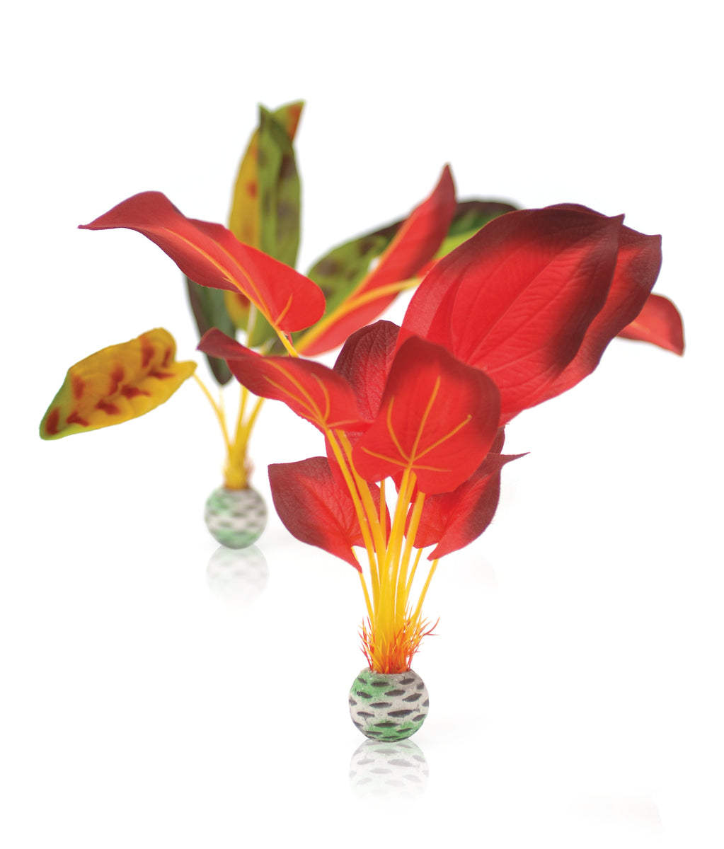 Lot de plantes en soie biOrb L verte et rouge — biOrb zijden plantenset L groen & rood