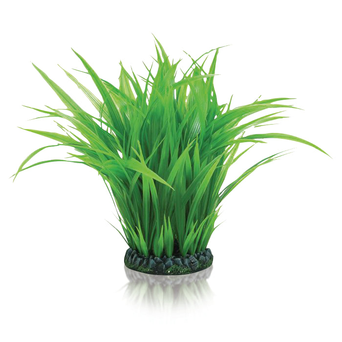 Anneau d’herbe décorative biOrb L vert — biOrb grasring L groen