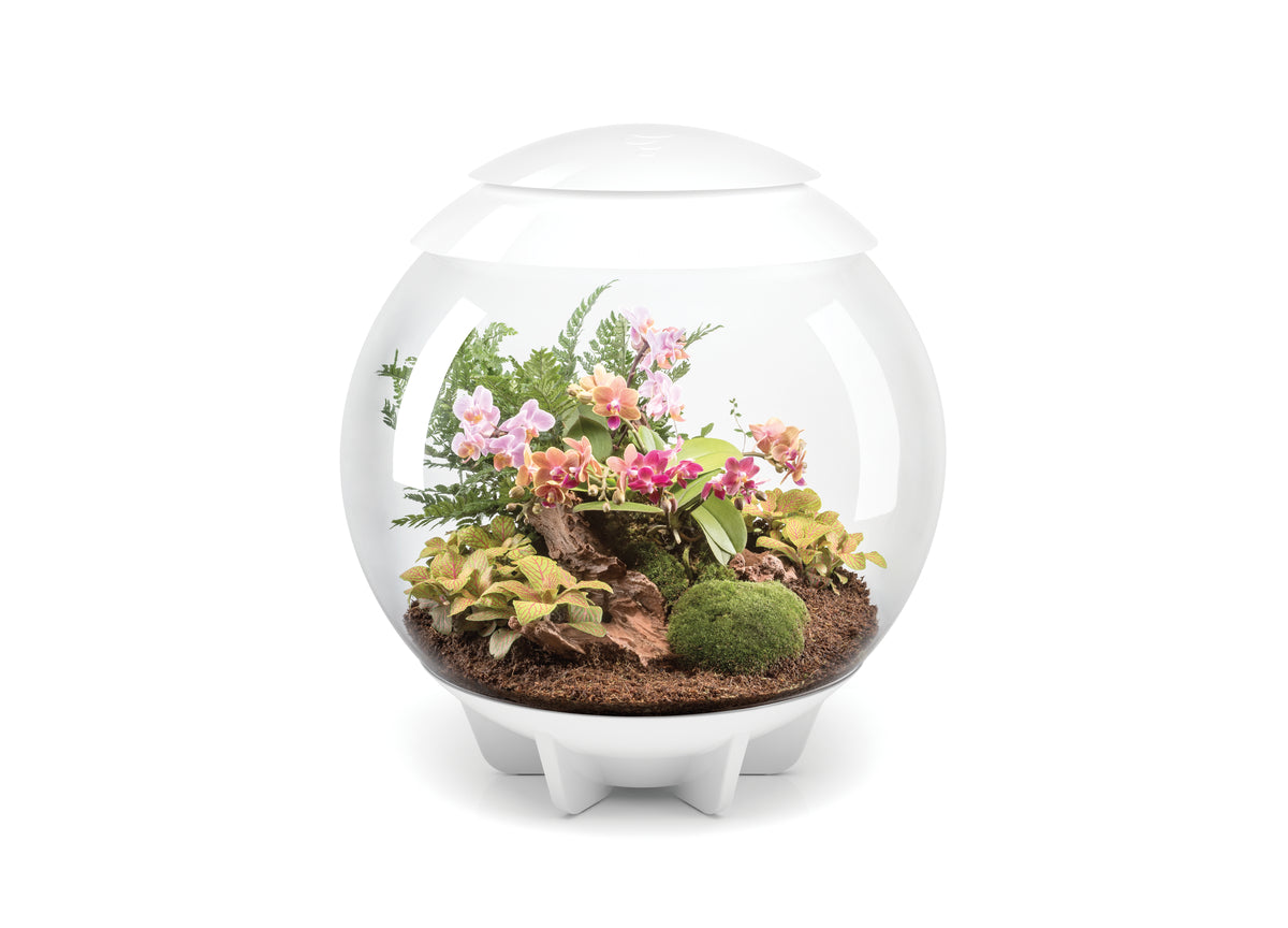 Terrarium biOrb AIR 60 blanc — biOrb AIR 60 wit