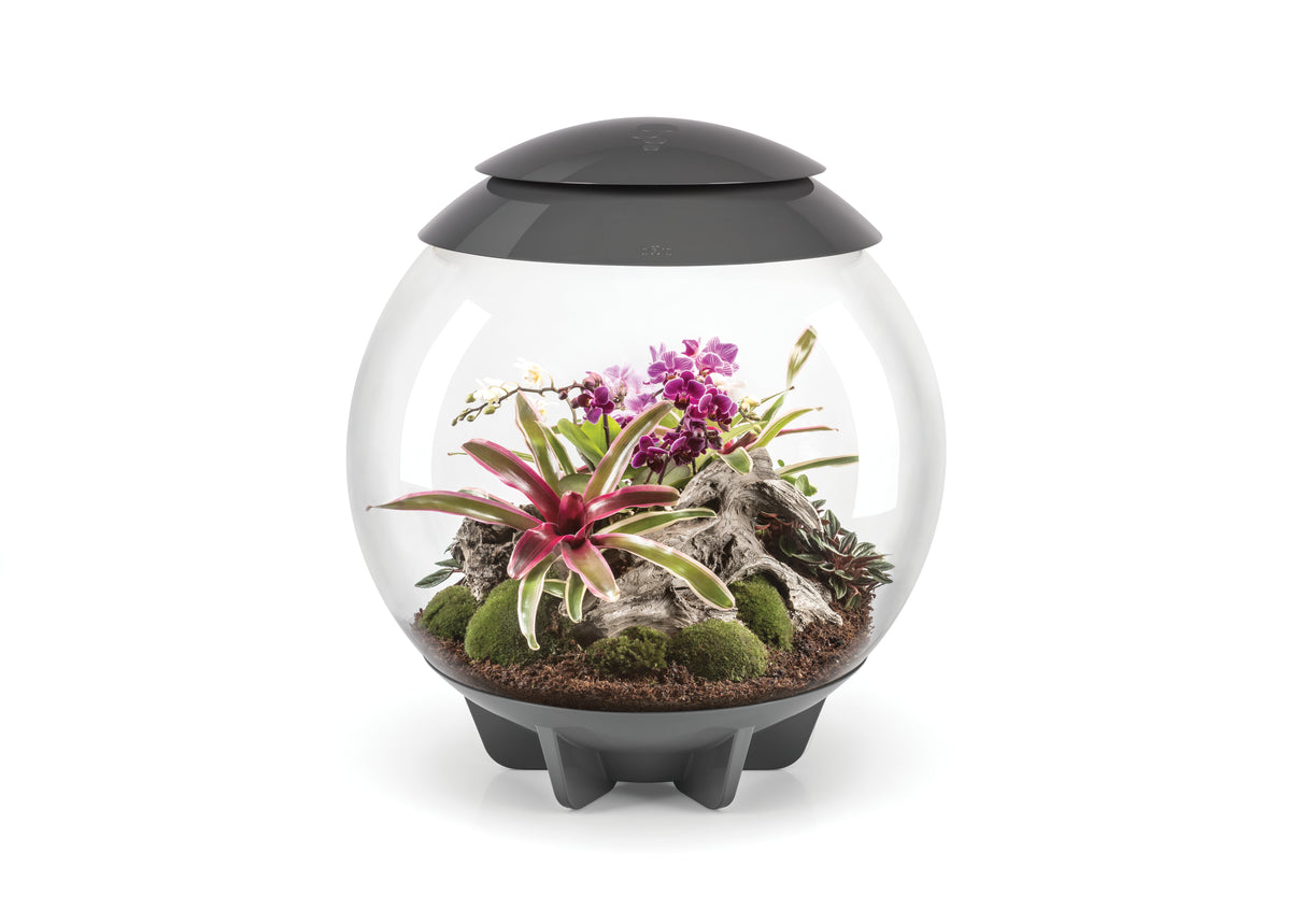 Terrarium biOrb AIR 60 gris — biOrb AIR 60 grijs