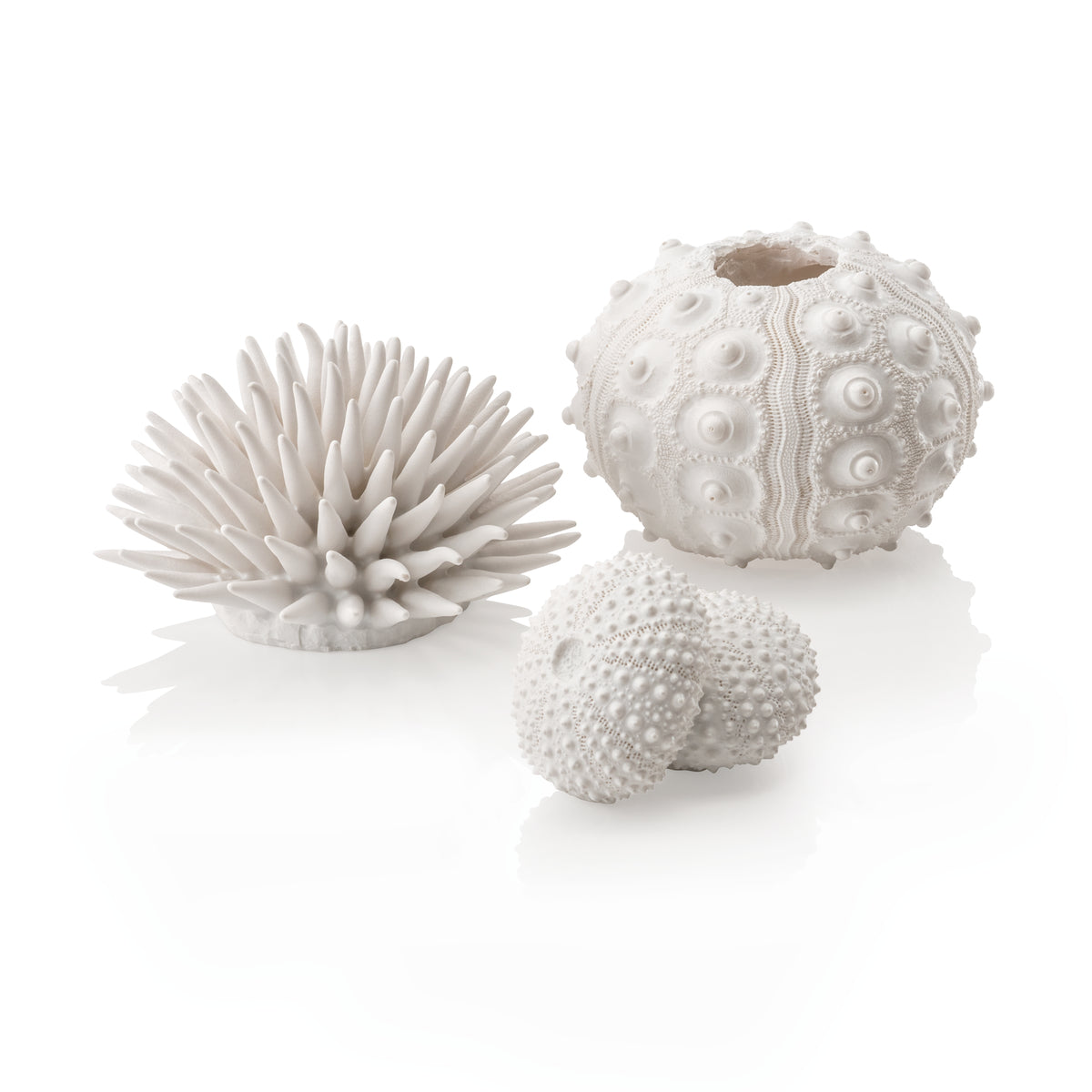 Lot d’oursins décoratifs biOrb blancs — biOrb zee-egel set wit