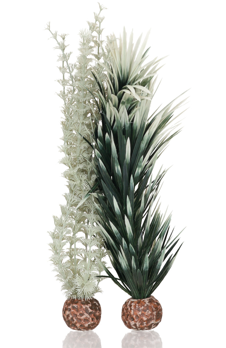 Lot d’ambulia biOrb gris-vert M — biOrb ambulia grijs/groen M