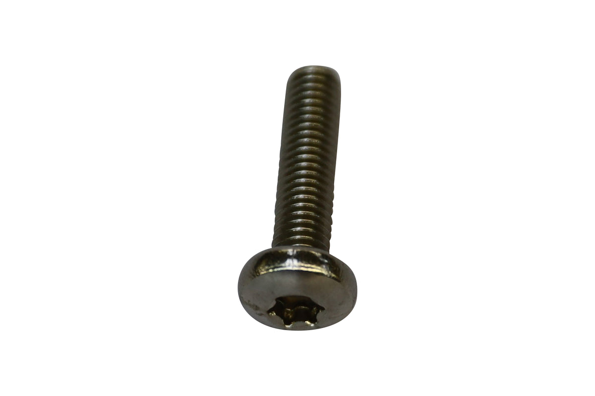 Vis à tête bombée Torx V2A ISO 14583 M6 × 25 — Lenskopschroef torx V2A ISO14583 M6 x 25