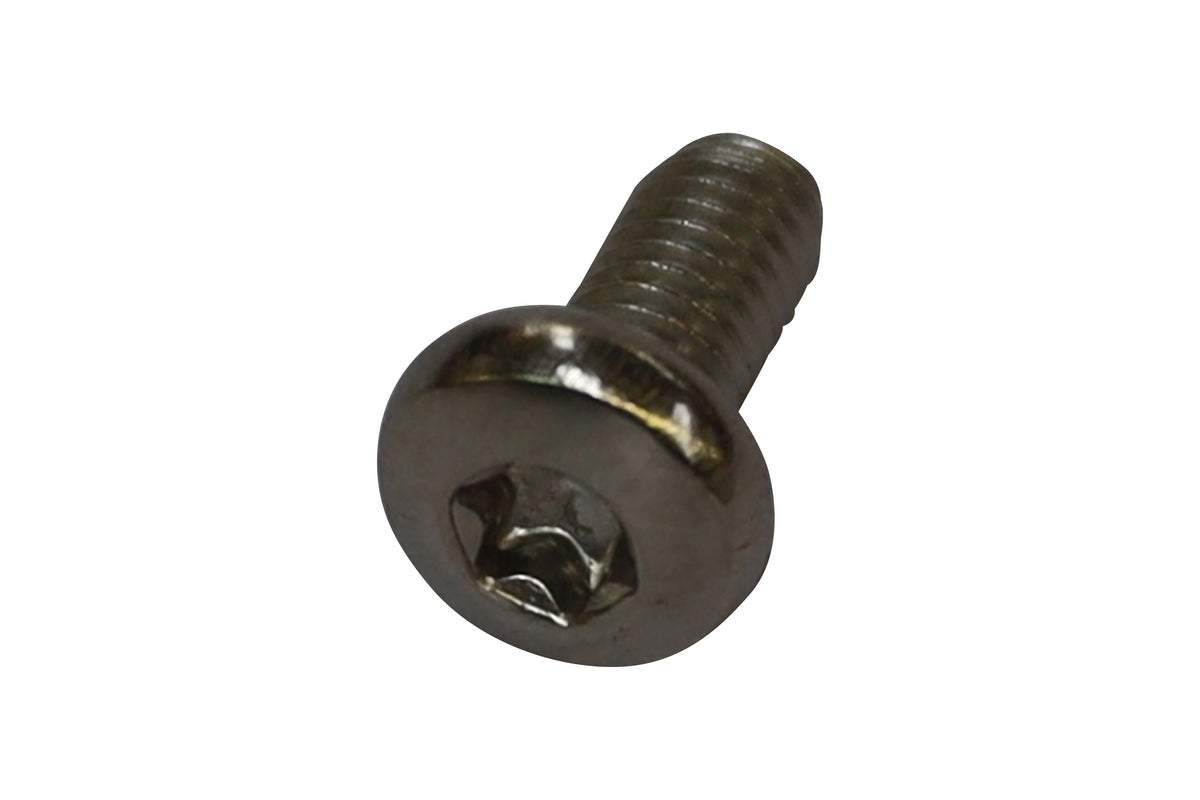 Vis à tête bombée Torx V2A ISO 14583 M6 × 12 — Lenskopschroef torx V2A ISO14583 M6 x 12