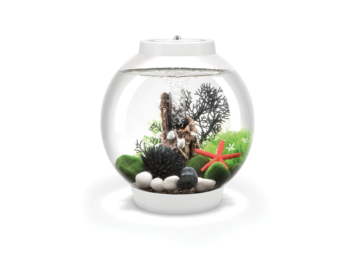 Aquarium biOrb CLASSIC 15 MCR blanc — biOrb CLASSIC 15 MCR wit
