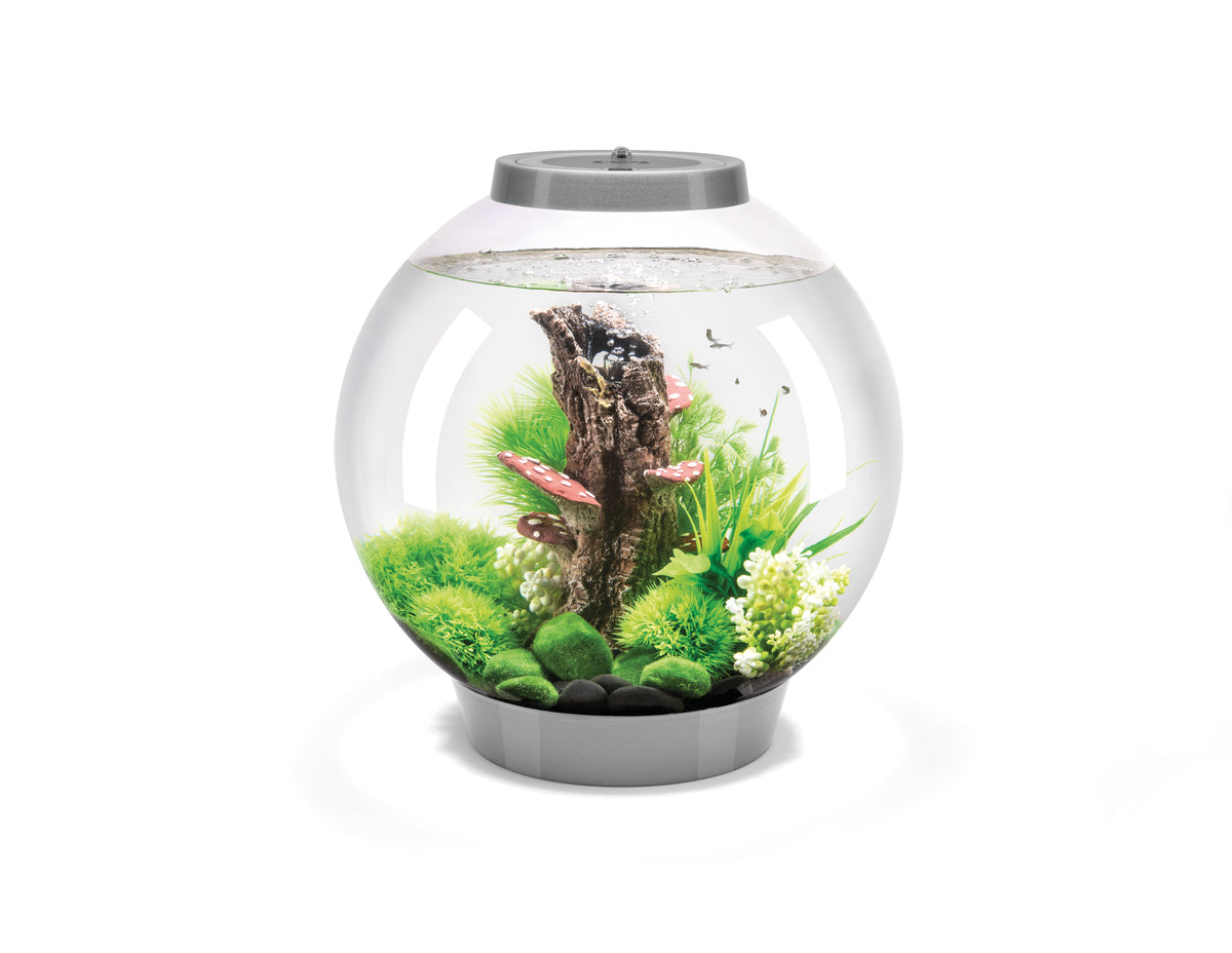 Aquarium biOrb CLASSIC 30 MCR argenté — biOrb CLASSIC 30 MCR zilver