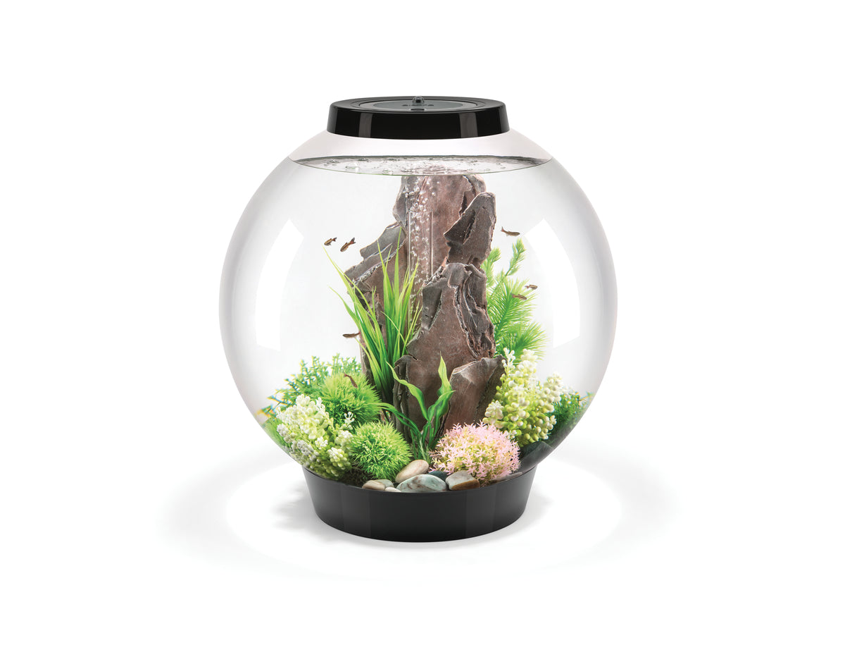 Aquarium biOrb CLASSIC 60 LED noir — biOrb CLASSIC 60 LED zwart