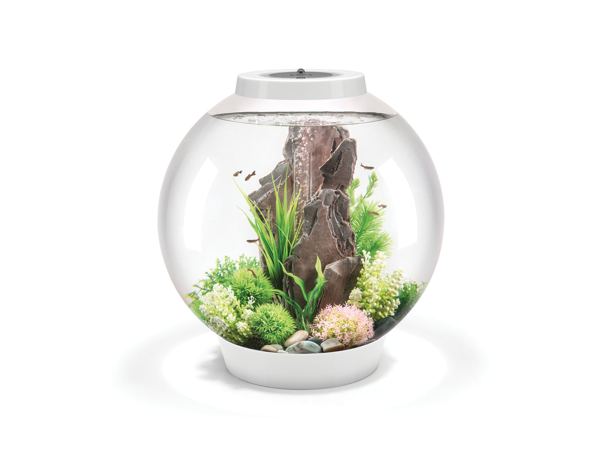 Aquarium biOrb CLASSIC 60 LED blanc — biOrb CLASSIC 60 LED wit