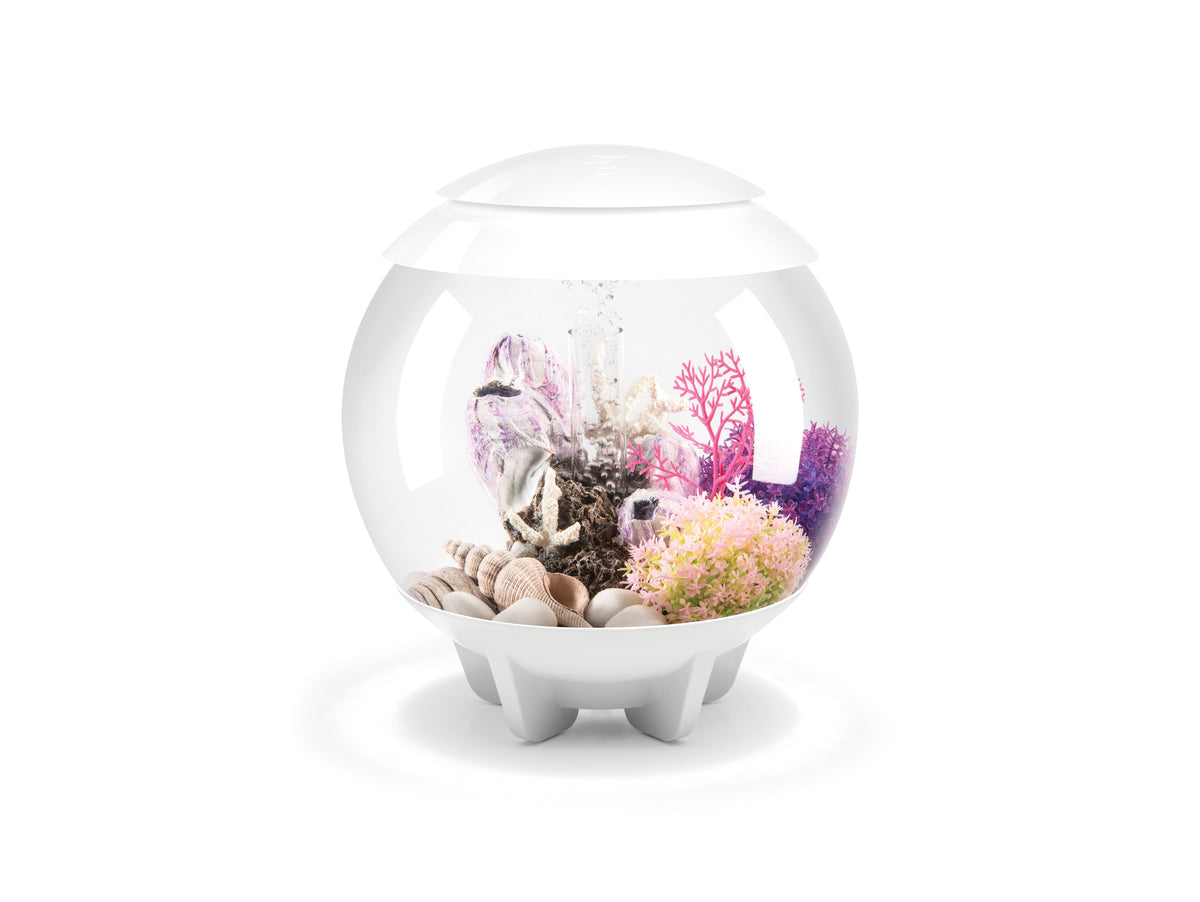 Aquarium biOrb HALO 15 MCR blanc — biOrb HALO 15 MCR wit