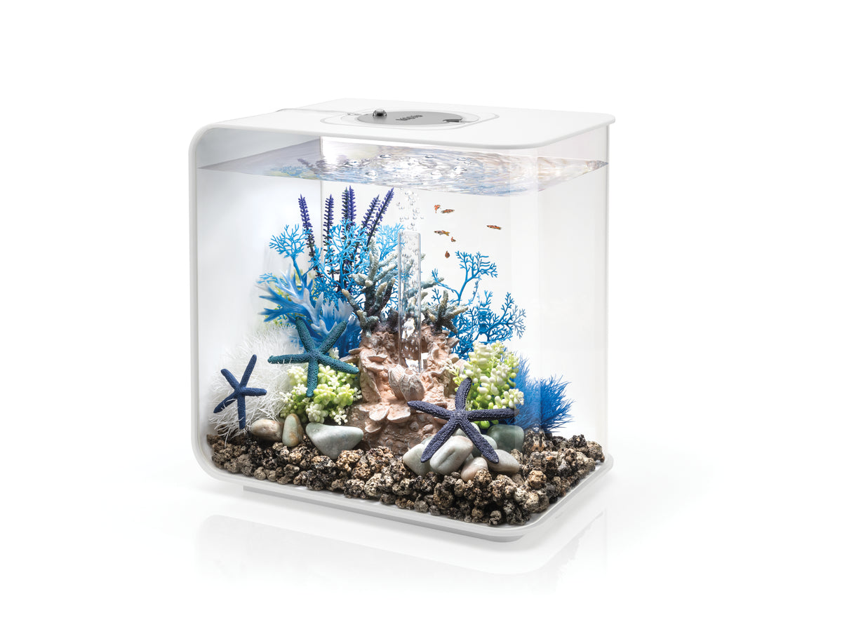 Aquarium biOrb FLOW 30 MCR blanc — biOrb FLOW 30 MCR wit