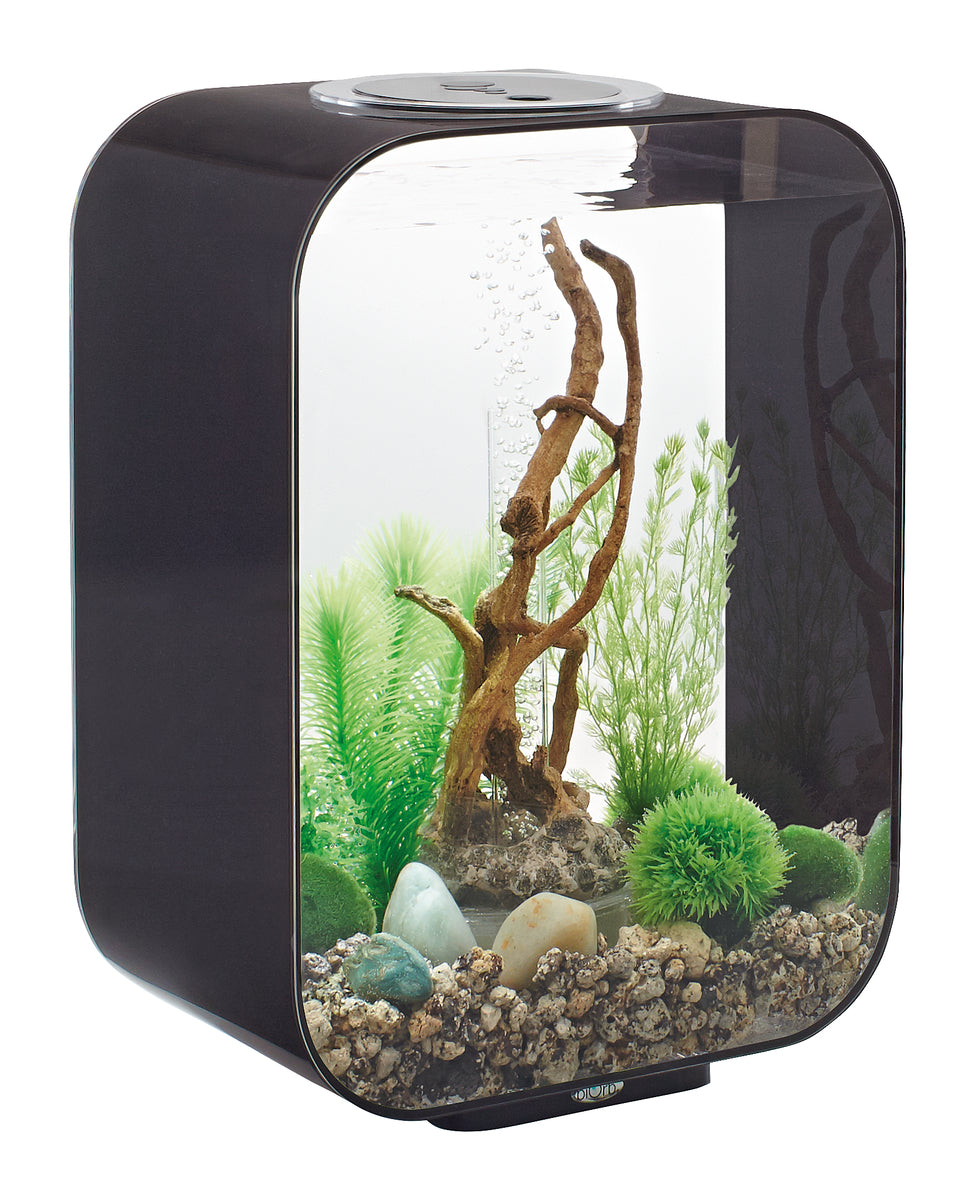 Aquarium biOrb LIFE 15 LED noir — biOrb LIFE 15 LED zwart