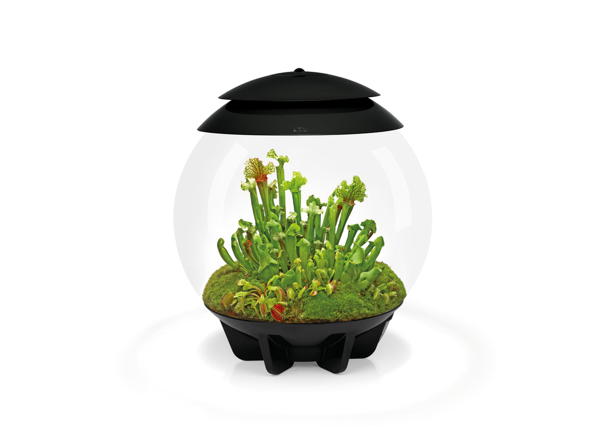 Terrarium biOrb AIR 30 noir — biOrb AIR 30 zwart