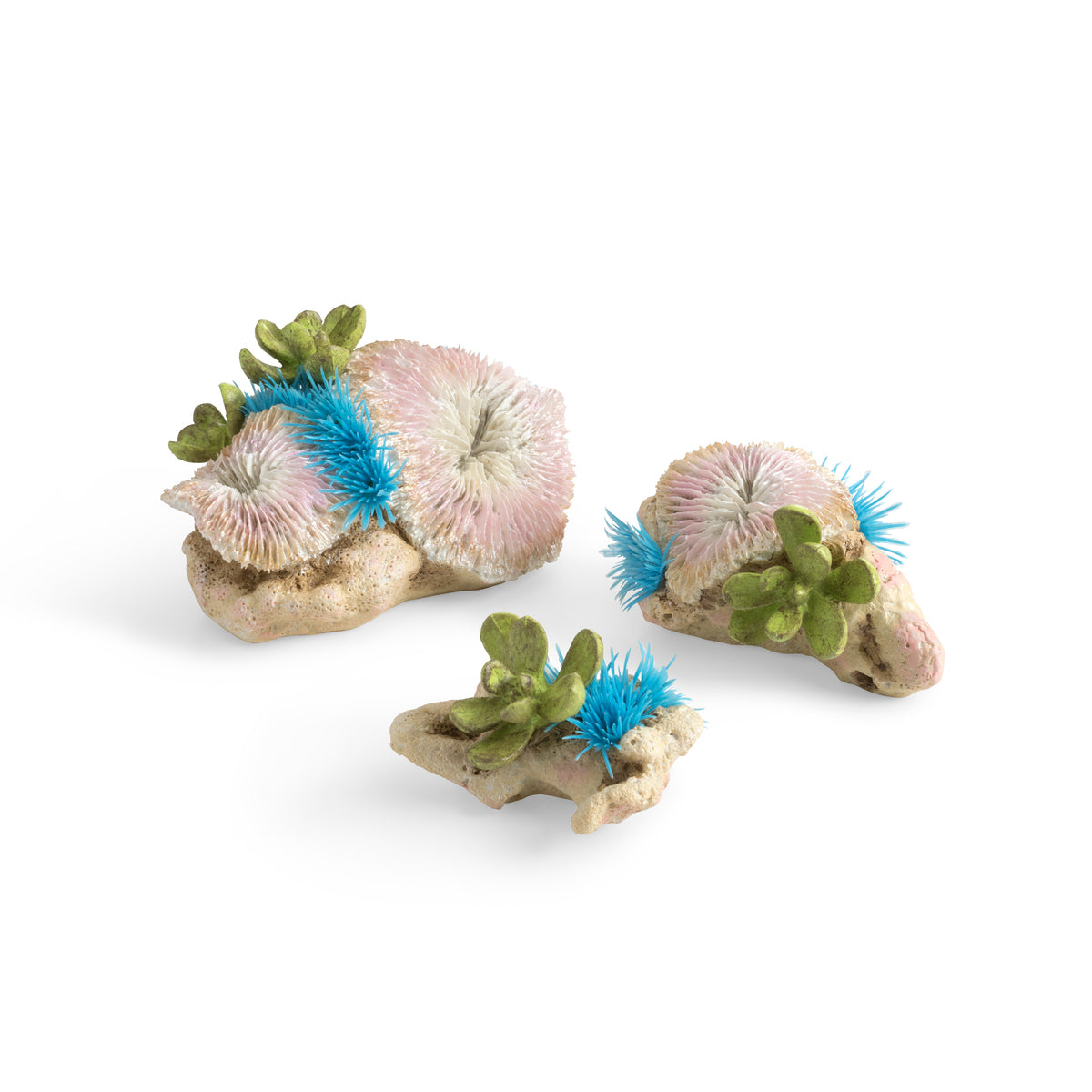 Lot de coraux en plateau et polypes boutons biOrb — biOrb plaatkoralen & knoopjespoliepenset