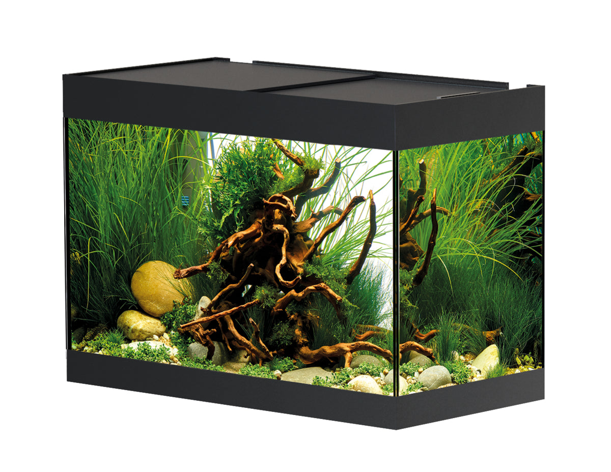 Aquarium StyleLine 125 noir — StyleLine 125 Aquarium zwart
