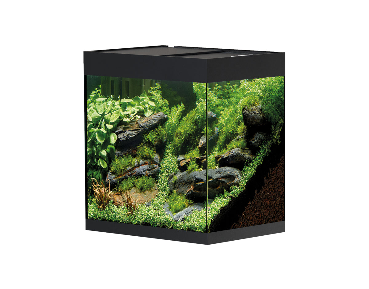 Aquarium StyleLine 85 noir — StyleLine 85 Aquarium zwart