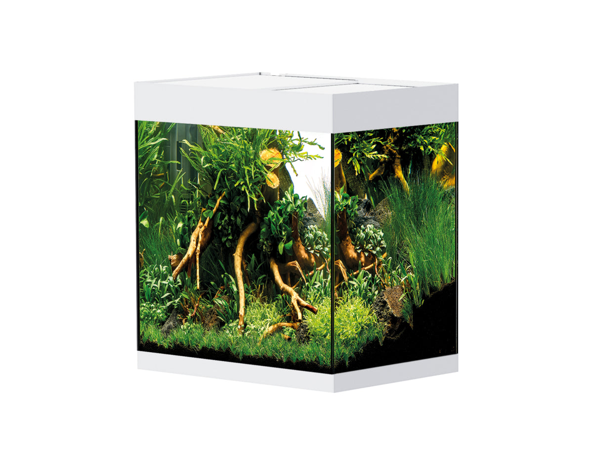 Aquarium StyleLine 85 blanc — StyleLine 85 Aquarium wit
