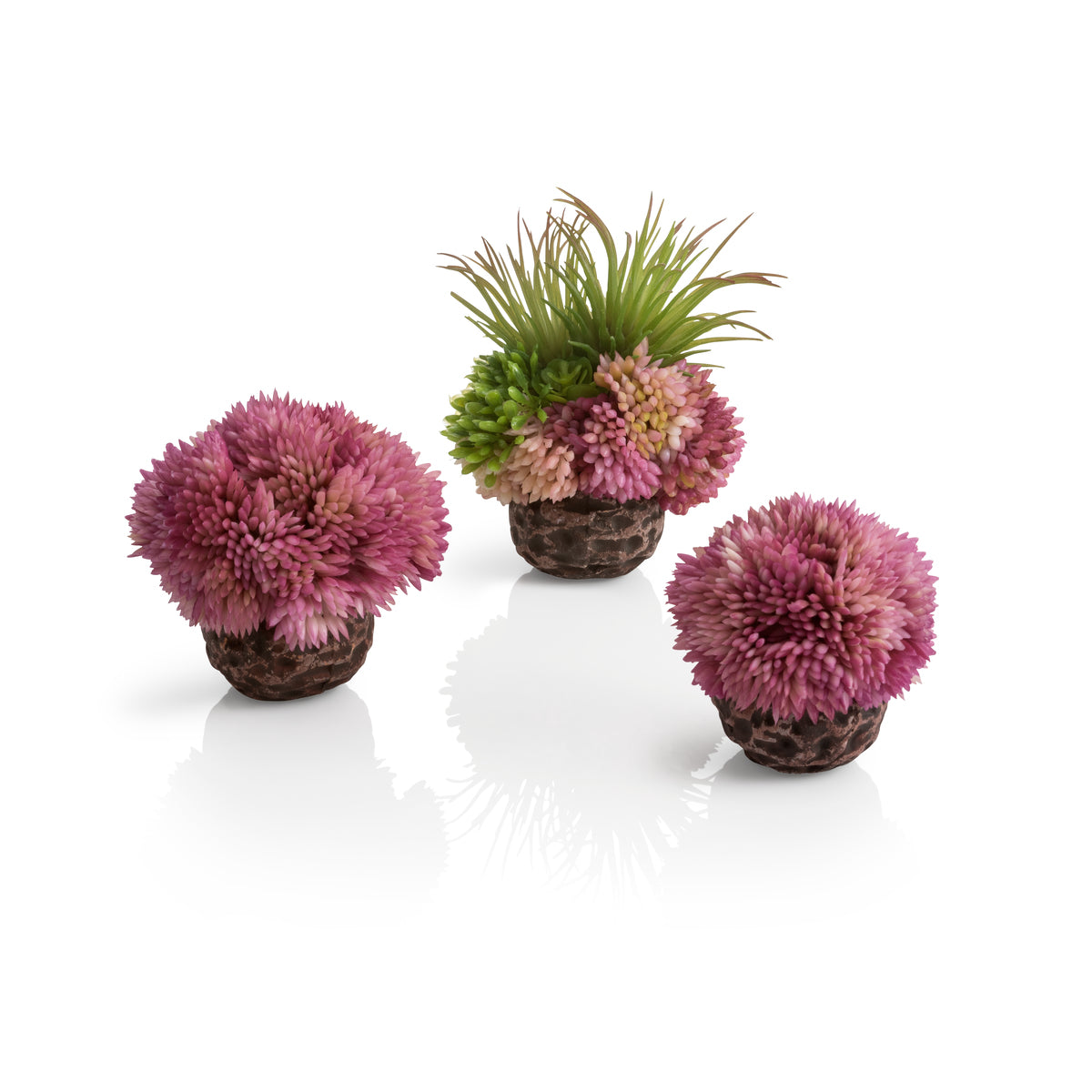 Lot de boules de corail biOrb violettes — biOrb koraalballenset paars